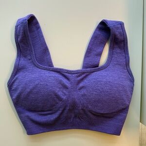Buffbunny  party purple sport bras
